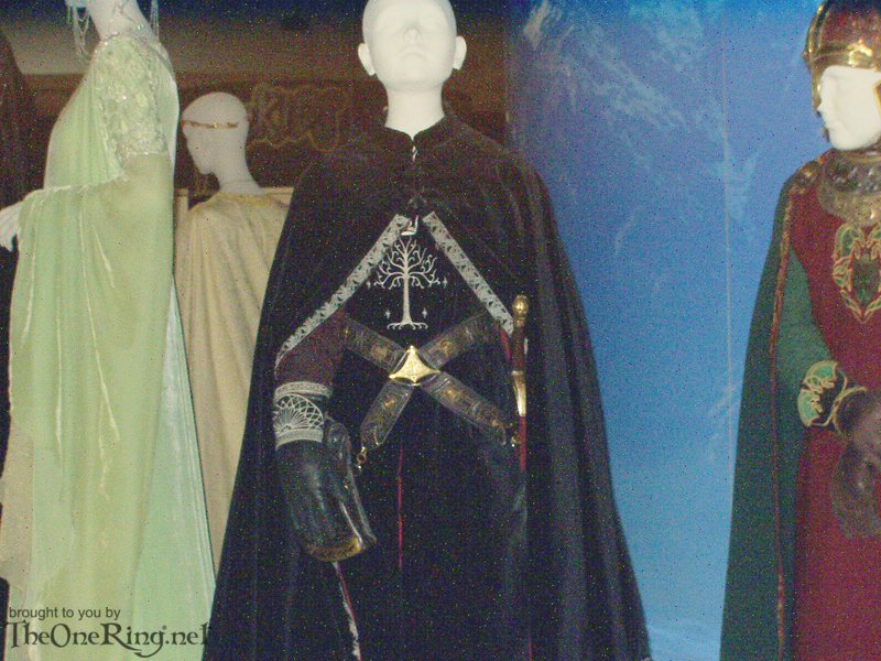 Pippin's Costume - Front View - 800x600, 117kB