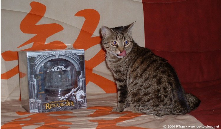 Show Us Your ROTK:EE DVD! - 750x439, 70kB