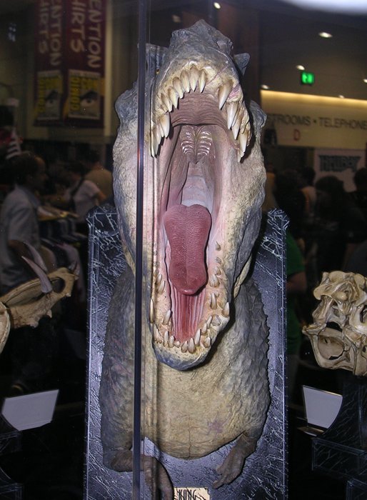 Comic-Con 2005: King Kong Goodies - 514x700, 81kB