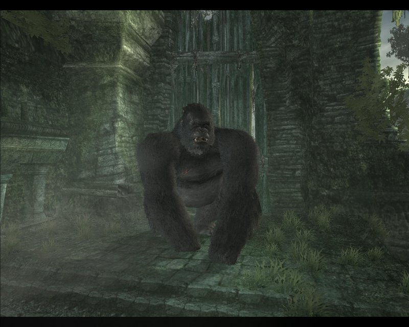 Ubisoft's King Kong Screenshots - 800x640, 84kB