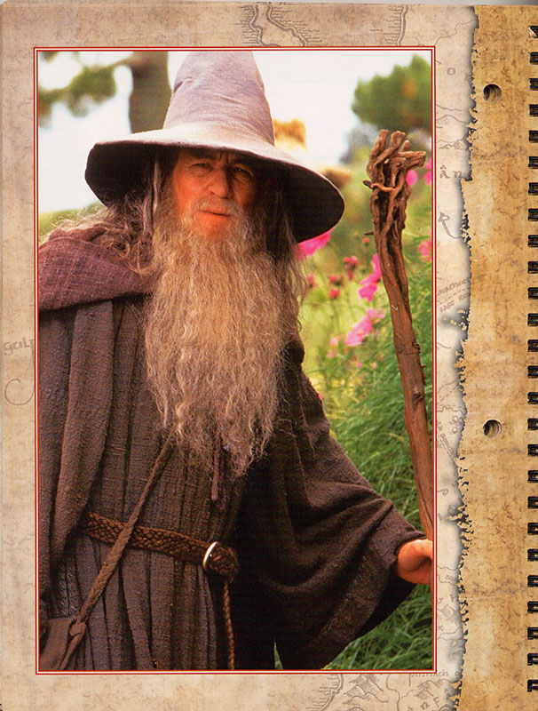 LOTR Student Planner: Gandalf in Hobbiton - 606x800, 152kB