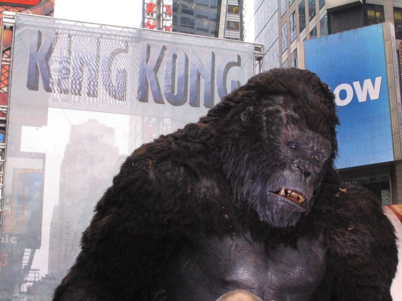 King Kong Premiere: New York, New York - 800x600, 93kB