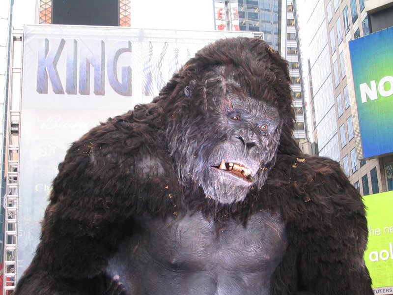 King Kong Premiere: New York, New York - 800x600, 109kB