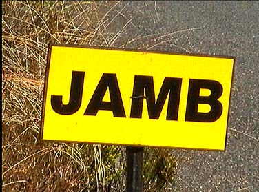 Jamboree ... This Way - 376x278, 39kB