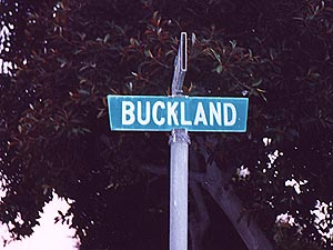 Lord of the Rings Street Names: Buckland - 300x225, 20kB