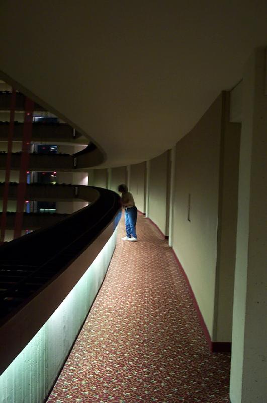 Jincey Overlooks the Hotel at Dragon*Con 2002. - 531x800, 63kB