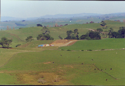 Hills and Fields Around Hobbiton - 426x294, 66kB