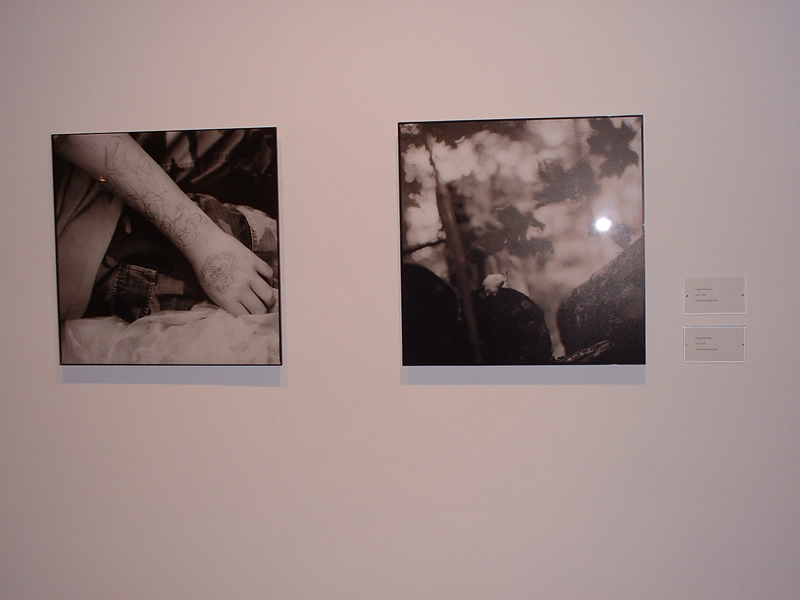 Sign Language - Photographys by Viggo Mortensen - 800x600, 274kB