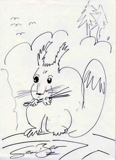 Red Squirrel Sketch by Sean Bean - 384x532, 36kB