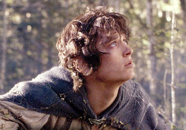 Frodo Covered in Spider Web - 600x420, 60kB