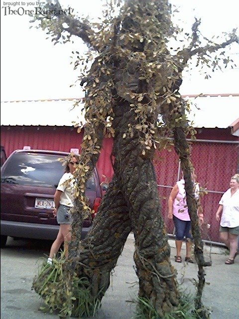 Ents Are Real! - 480x640, 100kB