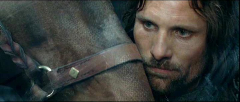 Brego and Aragorn - 800x340, 39kB