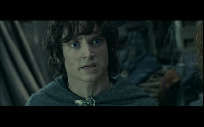 Frodo speaks to Faramir - 800x500, 72kB