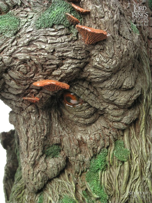 Side Close-up of Treebeard - 600x800, 168kB