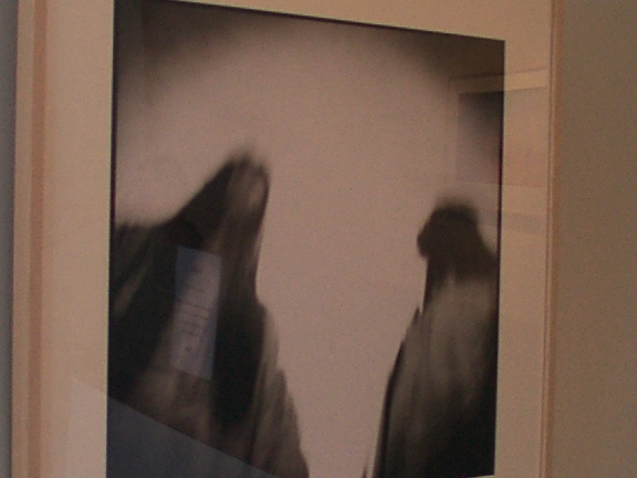 Mortensen's Miyelo Exhibit Pictures - 576x432, 82kB