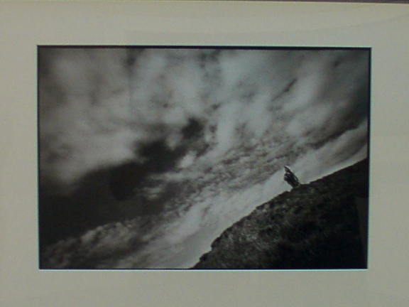 Mortensen's Miyelo Exhibit Pictures - 576x432, 79kB