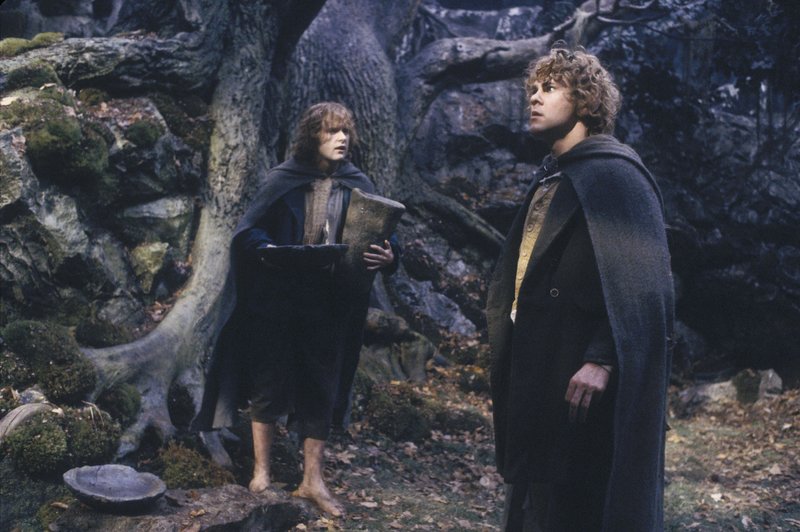 Merry and Pippin at Treebeard's home - 800x532, 86kB