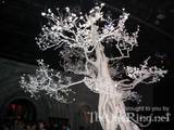 The White Tree - (800x600, 129kB)