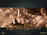 KongisKing.net Wallpapers - Edwin 800x600 - (800x600, 94kB)