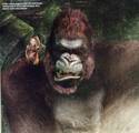Game Informer Magazine Talks Kong - (412x395, 33kB)