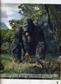 Cinelive Talks King Kong - (585x800, 130kB)