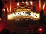King Kong Premiere: Wellington - (640x480, 74kB)
