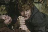 Sam & Frodo Two Towers Image - (450x300, 23kB)