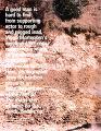 Viggo in i-D Magazine - Title Page - (516x660, 92kB)