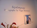 Sign Language - Photographs by Viggo Mortensen - (800x600, 303kB)