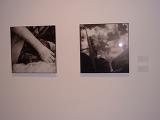 Sign Language - Photographys by Viggo Mortensen - (800x600, 274kB)