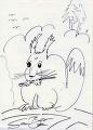 Red Squirrel Sketch by Sean Bean - (384x532, 36kB)