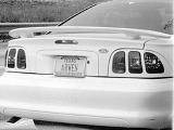 Texas License Plate: Arwen - (500x376, 35kB)