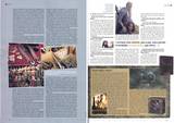 Studio Magazine - Various Images - (800x566, 144kB)
