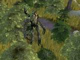 EA Games - The Battle for Middle-earth Screenshots! Treebeard - (800x600, 183kB)